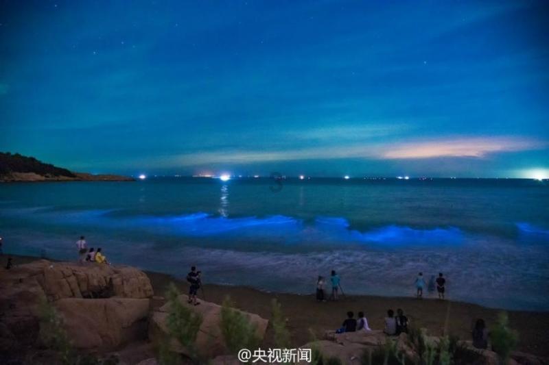 2024年越南国际消防安全与救援设备展览会