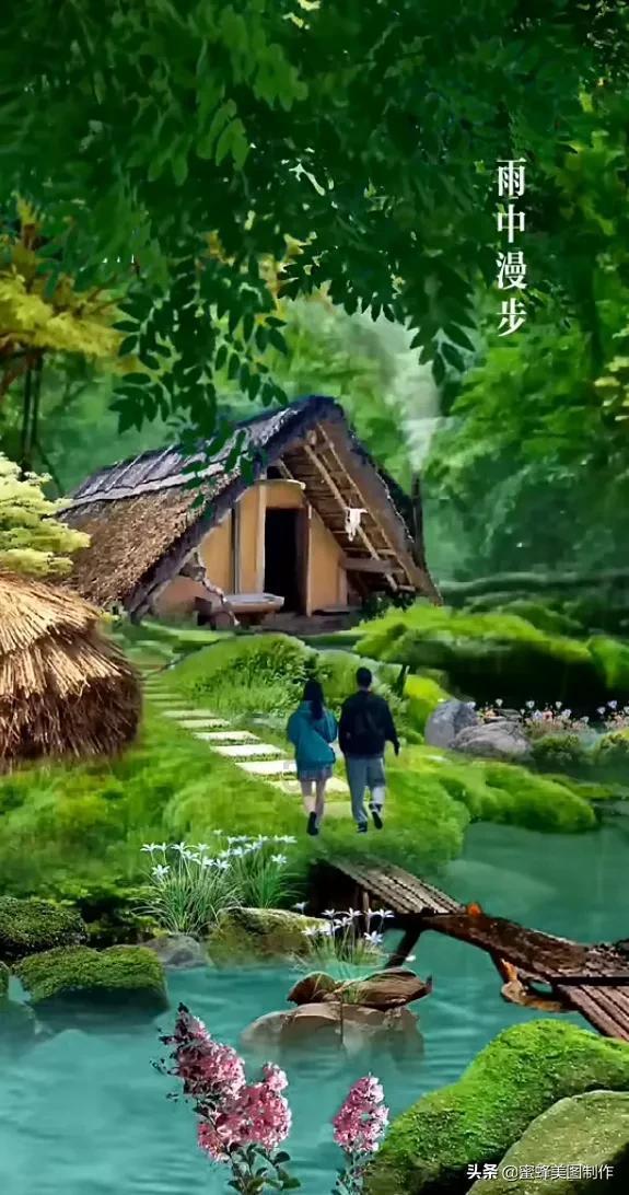 救援鹦鹉