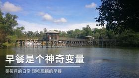 当地开了无房证明后还能继承老家房子吗?