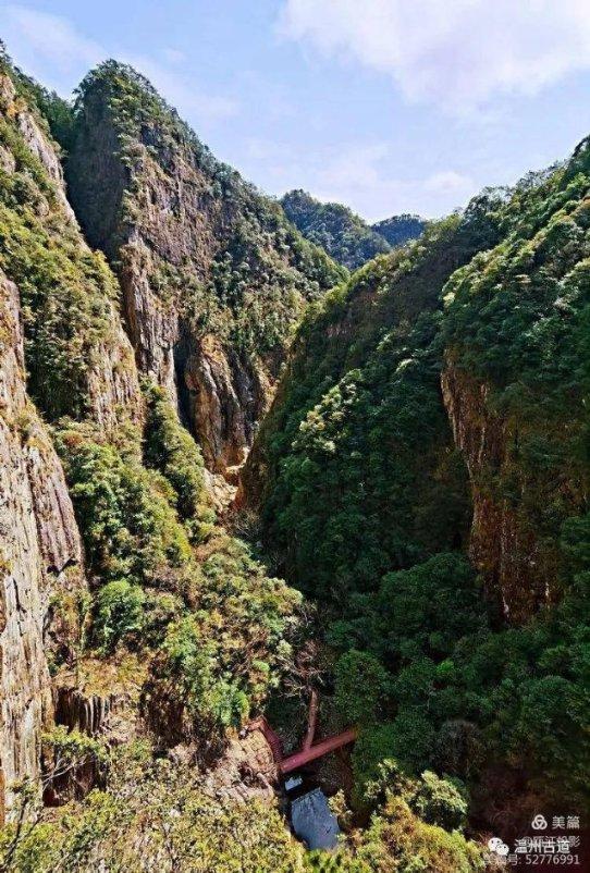 港股CRO板块午后急挫 药明康德跳水跌超10%