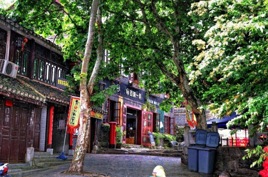 药明系个股集体闪崩 中欧基金浮亏超5亿 前海开源基金浮亏超4亿