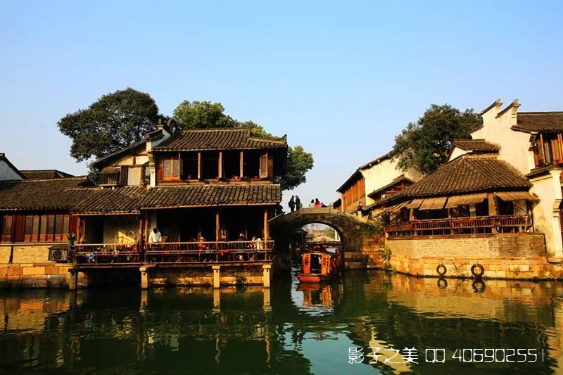拯救小萌虎